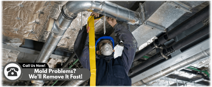 Air Duct Mold Removal in Malibu CA