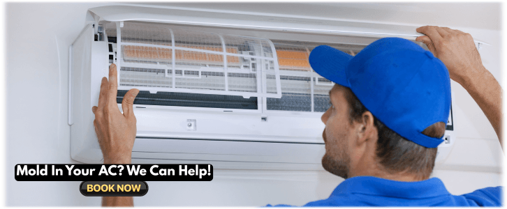 HVAC Mold Removal Malibu CA